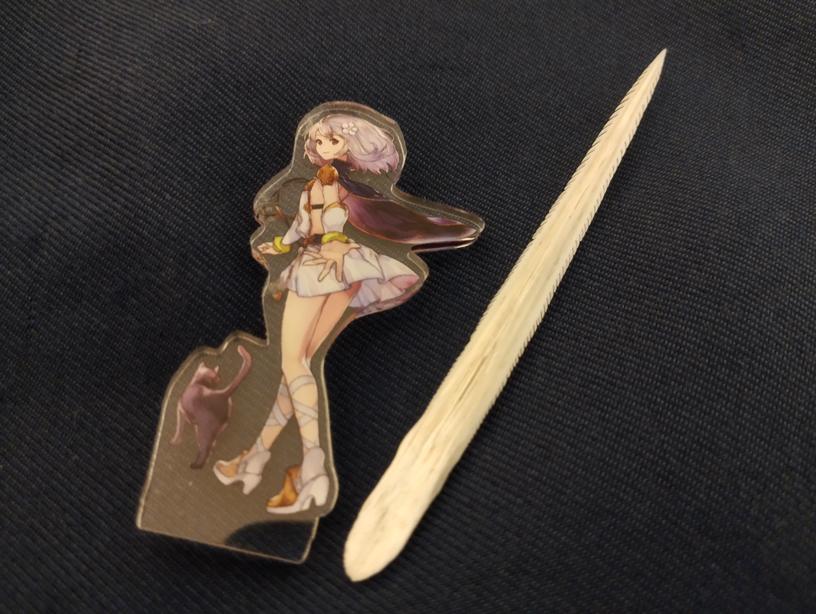 アカエイの毒針標本